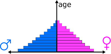 Schematic diagram of a population pyramid (source: Wikipedia)
