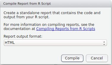 Compile Report window