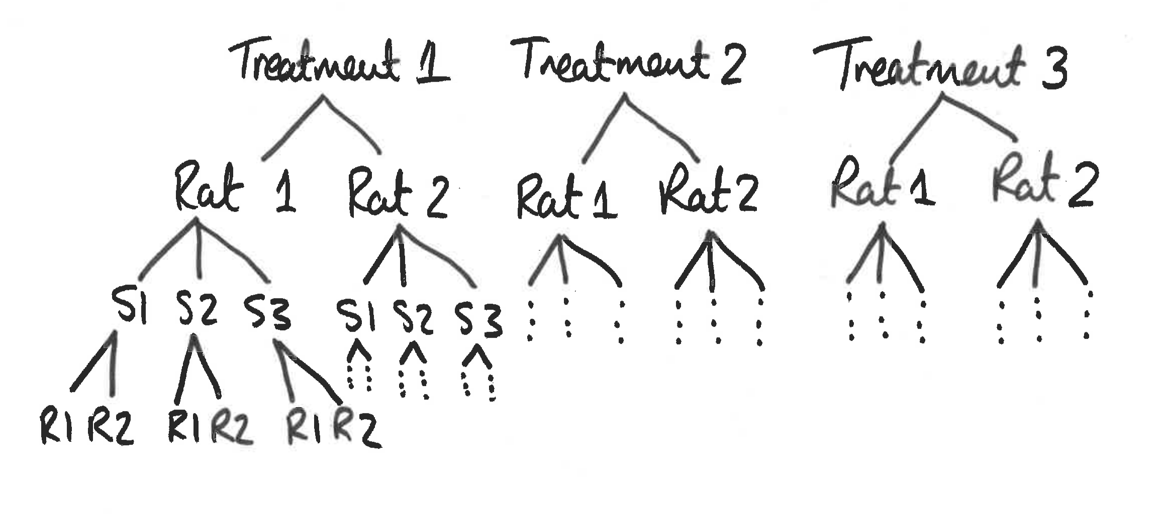 Schematic for glycogen in rats example