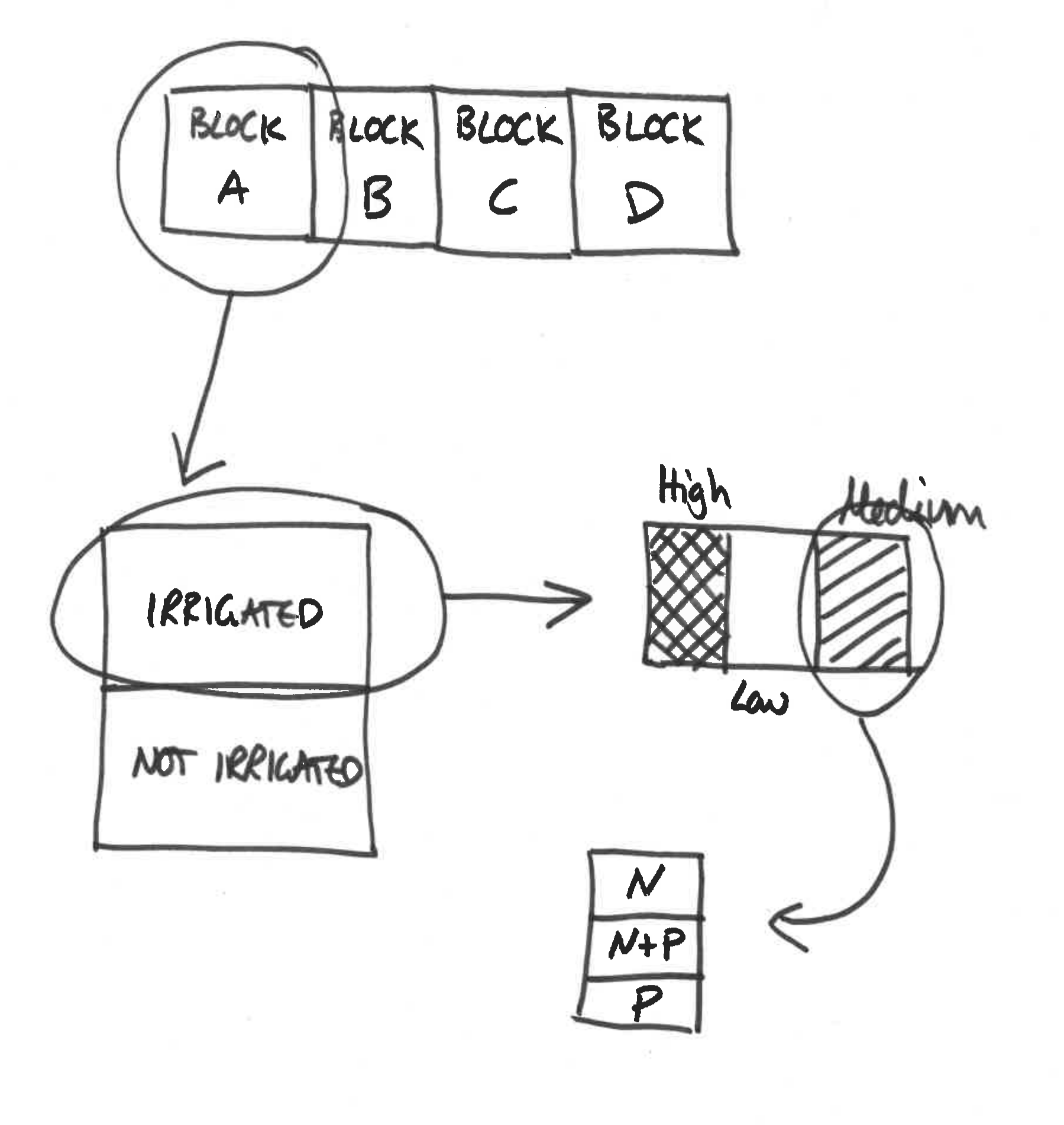 Schematic for split plot example